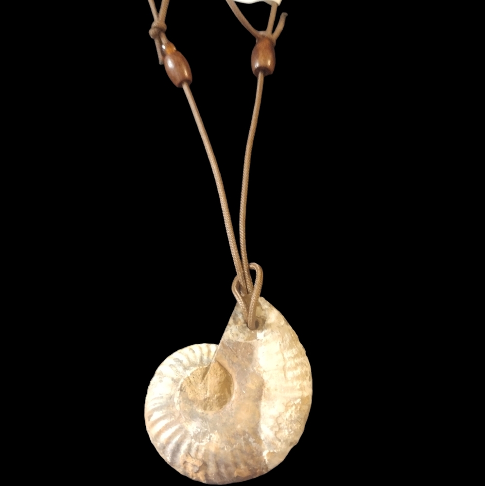 Nwt Fossil necklace